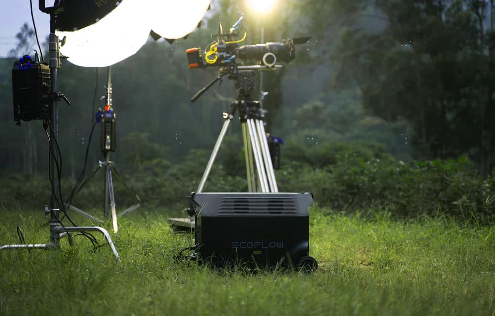 DP-professional_1024x1024